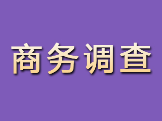 三明找私家侦探调查行踪要多少钱？全面了解费用结构与影响因素